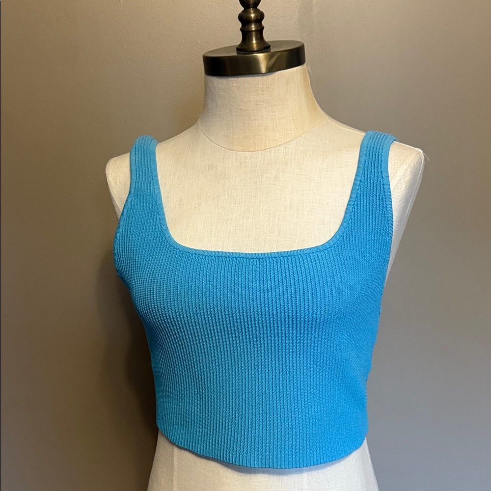 Babaton Bright Blue Knit Crop Top